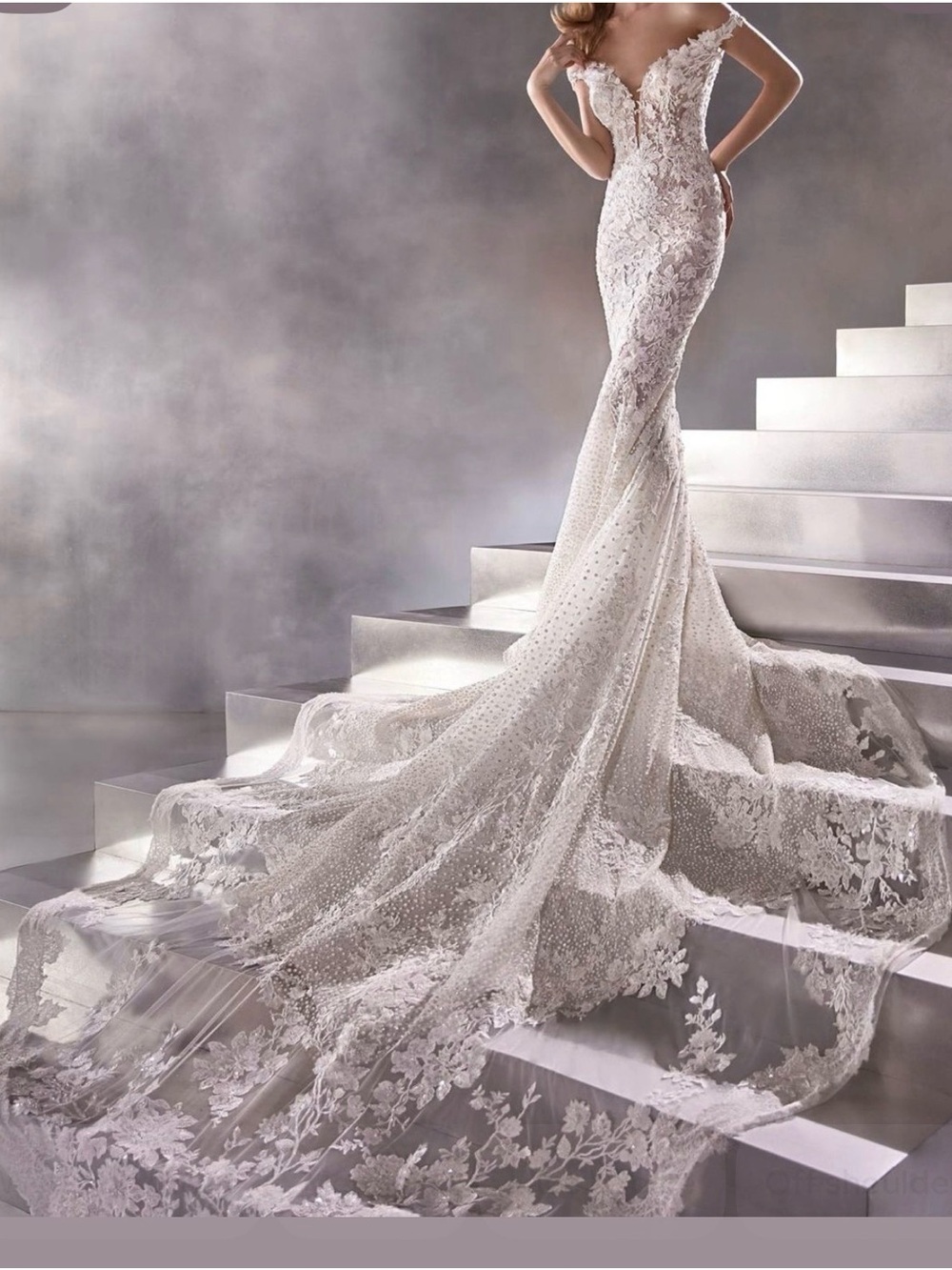 Asteroid-Atelier PRONOVIAS  Lace Mermaid Wedding Gown with Dramatic Floral Train